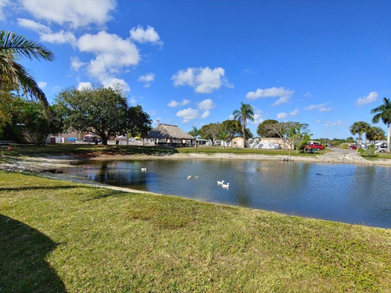 Poinsettia Park Broadstar Florida