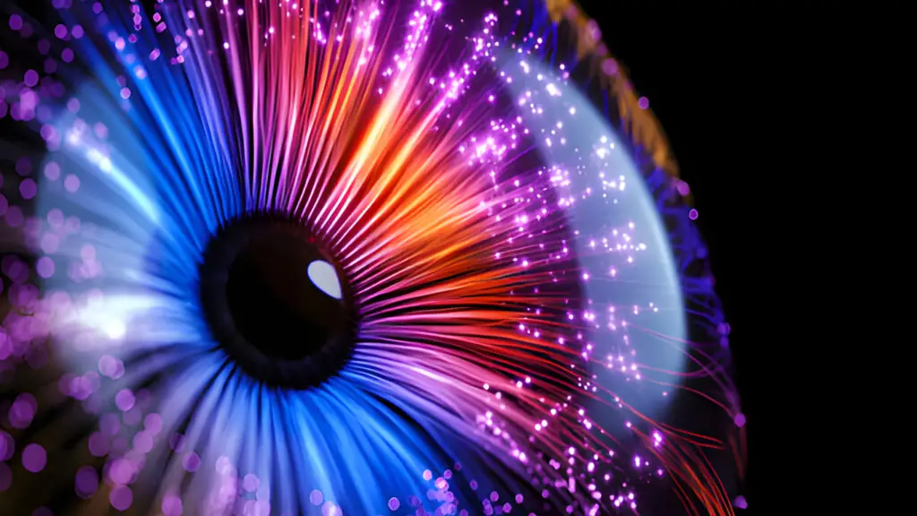 Fiber is the Future
