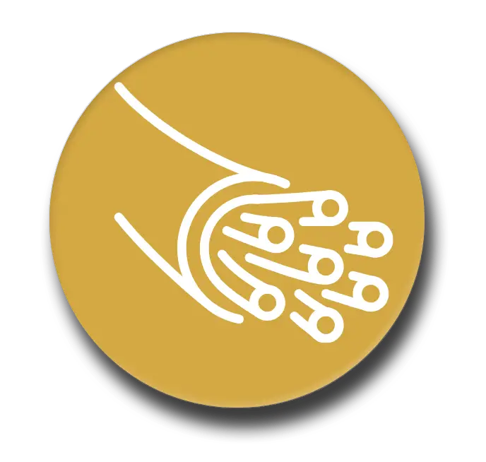 AON dedicated fiber